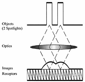 Retina